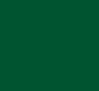 深緑色 ふかみどりいろ に合う色 合わない色の相性組み合わせ色見本6色コード