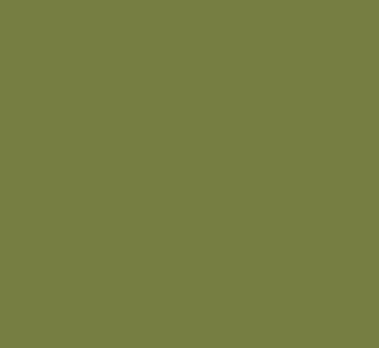 モスグリーン オリーブ色 に合う色 合わない色 2色の違い 色見本画像