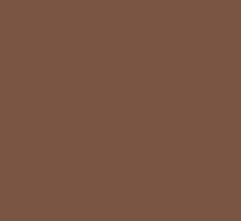 コーヒー色 コーヒーブラウンの色見本 Rgb値 Cmyk値 6桁html色コード